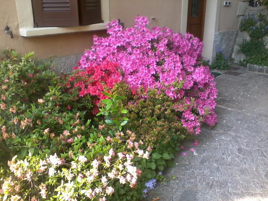 Casa Margherita Como Exteriör bild